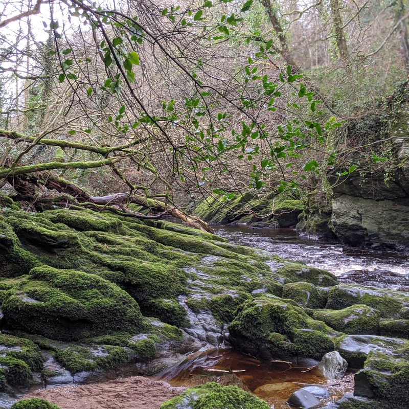 Daytime Astronomy artwork