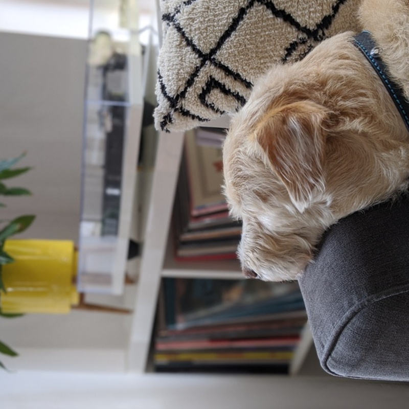 No Matter How Dark My Thinking Would Become artwork