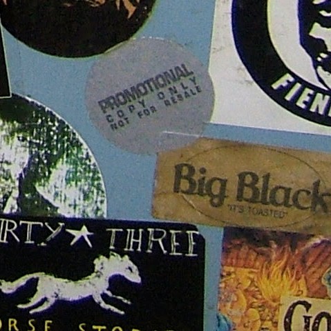 The One We Didn't Get To Record With Steve Albini artwork