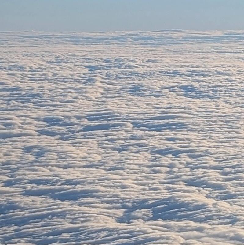 Vulture in the Snow artwork